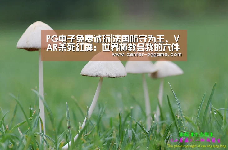 pg电子游戏